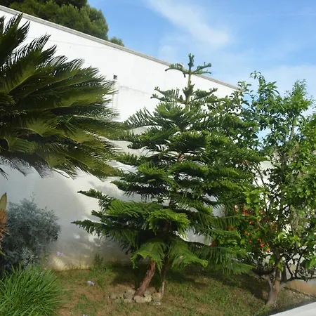 Depan Dance Gallipoli