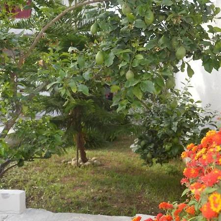 Gasthuis Depan Dance