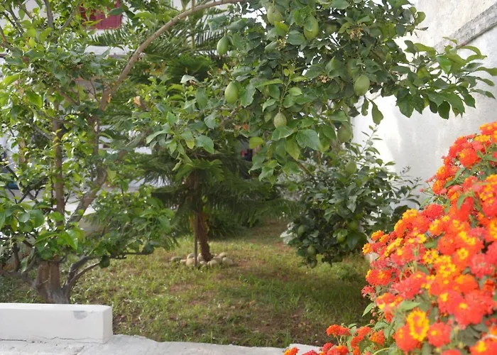 Casa de hóspedes Depan Dance